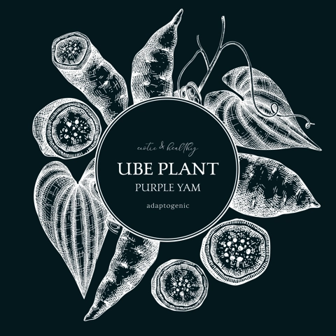 Agricultural plant, wreath design. Ube, Purple yam, root vegetable, vegetarian food background. Packaging, label, print template for plant based product. Vector illustration on chalkboard